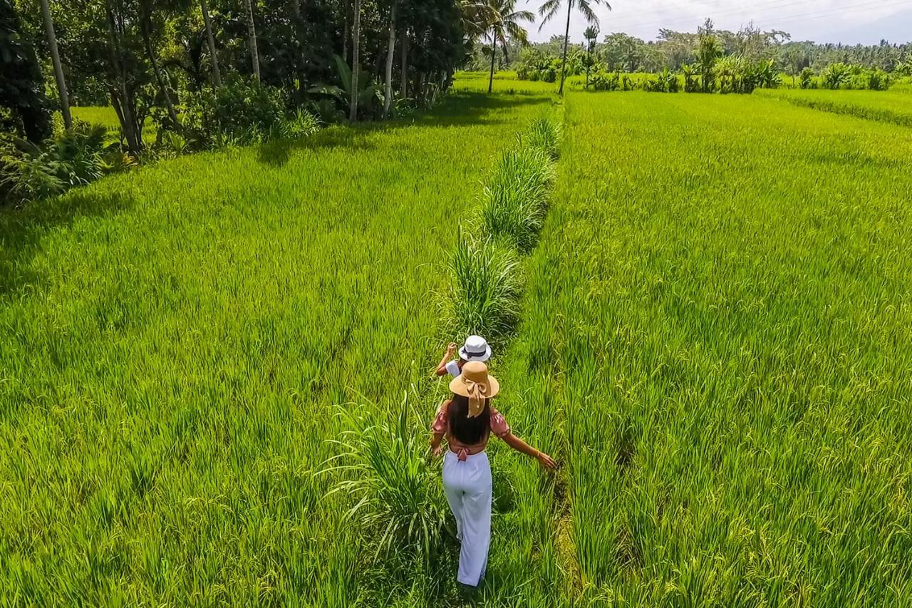 Puri Lumbung Village Payangan Buitenkant foto
